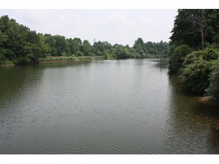 Property photo 18 - 419 +/- Acres offered in 6 Tracts, Land Auction